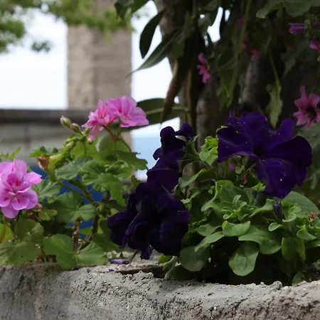 By The Sea Sveti Petar, Biograd - 6168 Sveti Petar (Zadar)