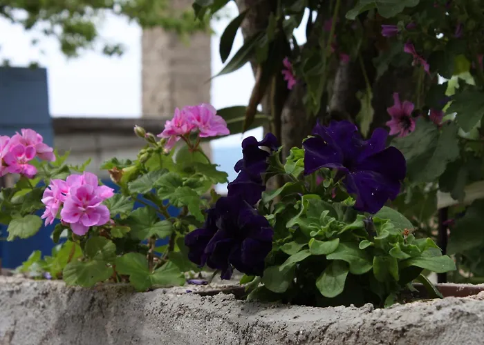 By The Sea Sveti Petar, Biograd - 6168 Свети-Петар